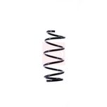Apec Coil Spring Front ACS1402