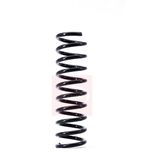 Apec Coil Spring Rear ACS1404