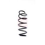 Apec Coil Spring Front ACS1406