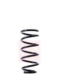 Apec Coil Spring Rear ACS1407