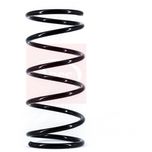 Apec Coil Spring Front ACS1408