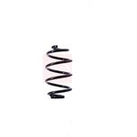 Apec Coil Spring Rear ACS1413