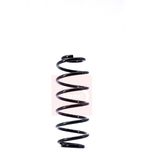 Apec Coil Spring Rear ACS1415