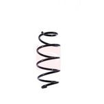 Apec Coil Spring Front ACS1416