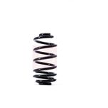 Apec Coil Spring Rear ACS1418