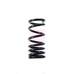 Apec Coil Spring Rear ACS1420