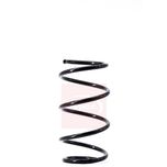 Apec Coil Spring Front ACS1432