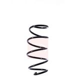 Apec Coil Spring Front ACS1433