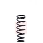 Apec Coil Spring Rear ACS1444