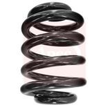 Apec Coil Spring Rear ACS1446