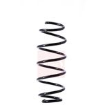 Apec Coil Spring Front ACS1449