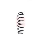 Apec Coil Spring Rear ACS1452