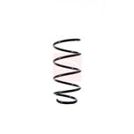 Apec Coil Spring Front ACS1455