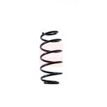 Apec Coil Spring Front ACS1456