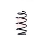 Apec Coil Spring Front ACS1457
