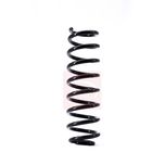 Apec Coil Spring Front ACS1461