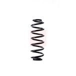 Apec Coil Spring Rear ACS1472