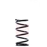Apec Coil Spring Rear ACS1478