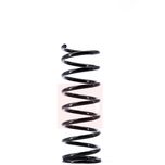 Apec Coil Spring Rear ACS1484
