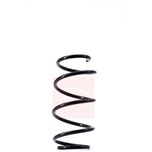 Apec Coil Spring Front ACS1487