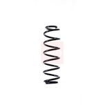 Apec Coil Spring Rear ACS1491