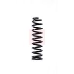 Apec Coil Spring Front ACS1493