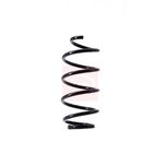 Apec Coil Spring Front ACS1494