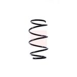 Apec Coil Spring Front ACS1496