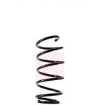 Apec Coil Spring Front ACS1503