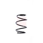 Apec Coil Spring Front ACS1504