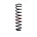 Apec Coil Spring Front ACS1510
