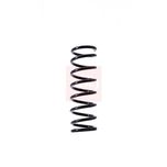 Apec Coil Spring Rear ACS1514