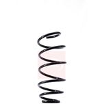 Apec Coil Spring Front ACS1518