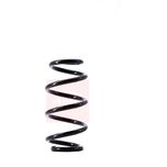 Apec Coil Spring Front ACS1519