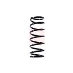 Apec Coil Spring Rear ACS1520