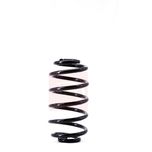 Apec Coil Spring Rear ACS1522