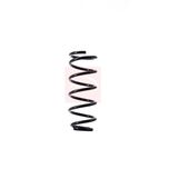 Apec Coil Spring Rear ACS1526