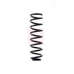 Apec Coil Spring Front ACS1527