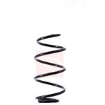 Apec Coil Spring Front ACS1528