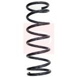 Apec Coil Spring Rear ACS1529