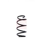 Apec Coil Spring Front ACS1532