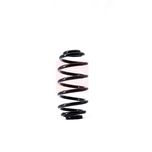 Apec Coil Spring Rear ACS1533