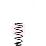 Apec Coil Spring Rear ACS1537