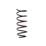 Apec Coil Spring Front ACS1538