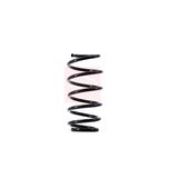 Apec Coil Spring Front ACS1540