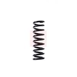 Apec Coil Spring Rear ACS1542