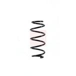 Apec Coil Spring Front ACS1554