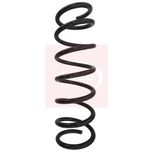 Apec Coil Spring Rear ACS1589