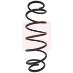 Apec Coil Spring Rear ACS1621