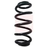 Apec Coil Spring Rear ACS1636